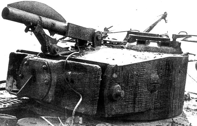 Bergetiger 2.jpg
